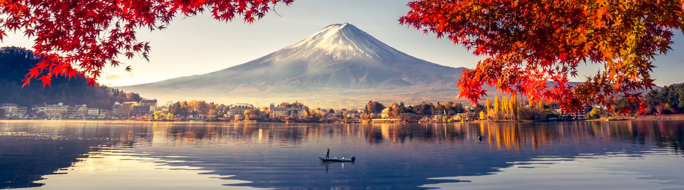 Travel with confidence, we've got you covered