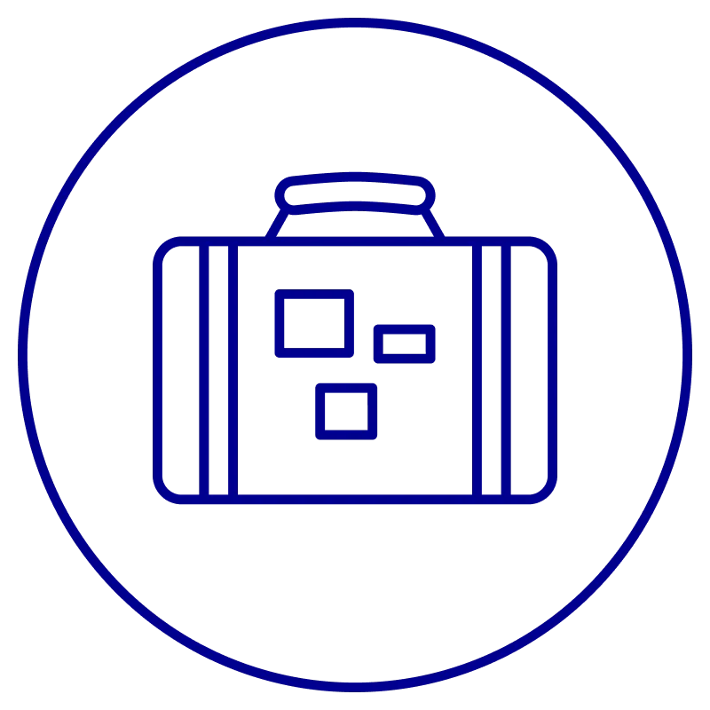 Baggage Cover